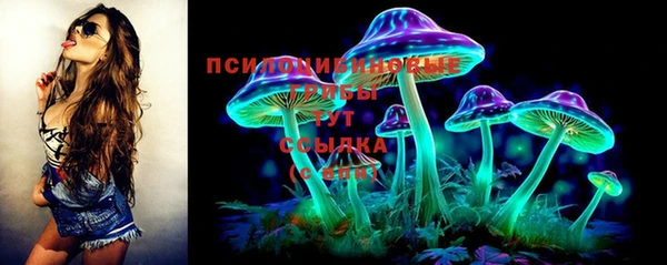 дурь Аркадак